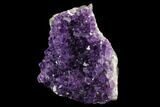 Free-Standing, Amethyst Crystal Cluster - Uruguay #123764-2